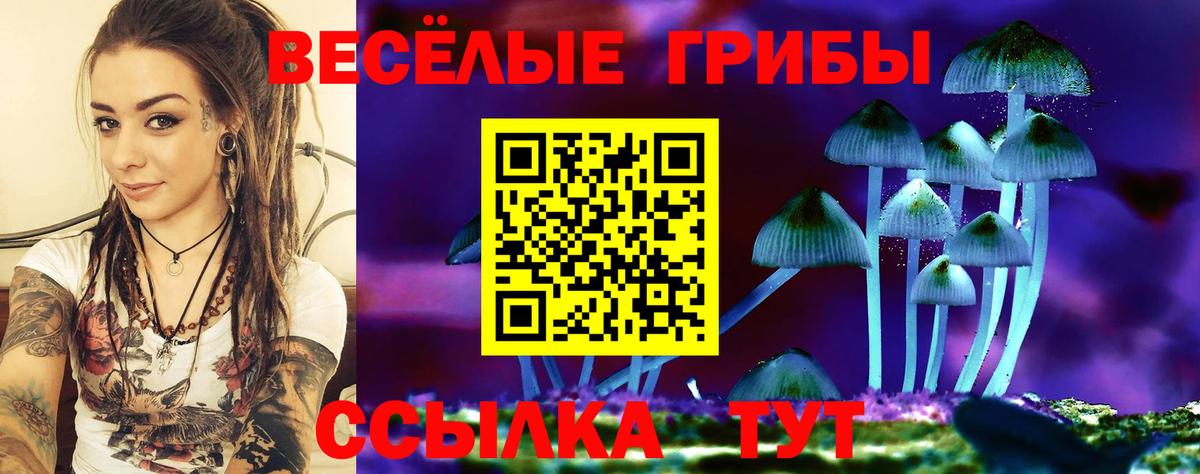 Галлюциногенные грибы Cubensis  Вход с VPN  Арзамас  Галлюциногенные грибы GOLDEN TEACHER 